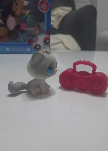  tabby cat miniş orjinal