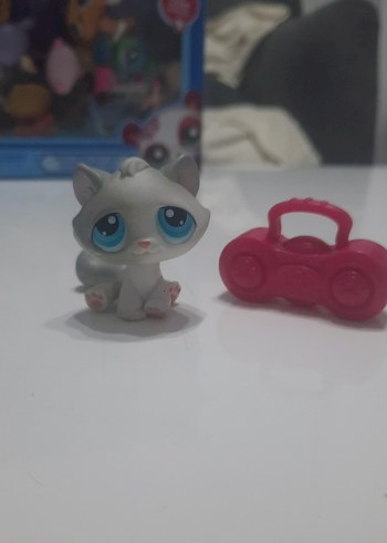 tabby cat miniş orjinal