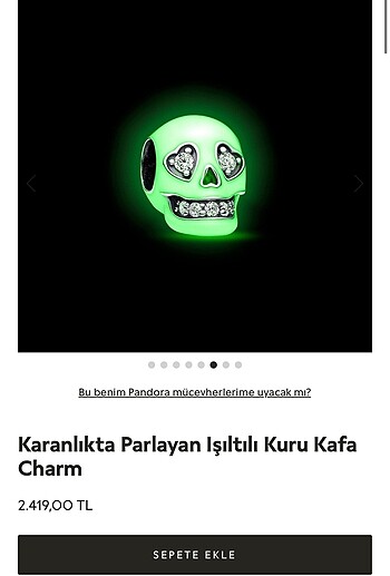KARANLIKTA PARLAYAN KURU KAFA CHARM