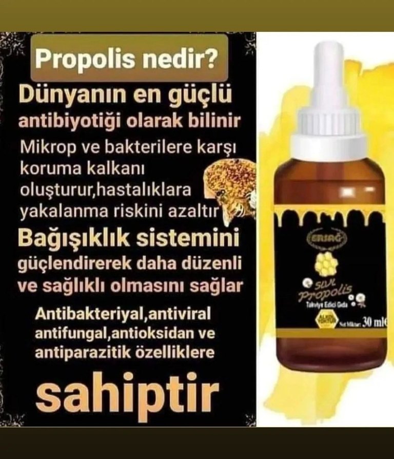 ERSAĞ Sıvı Propolis Takviye Edici Gıda 30ml - Görsel 2