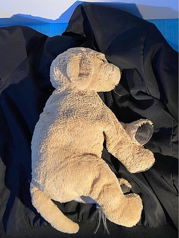 Fisher Price Peluş köpek