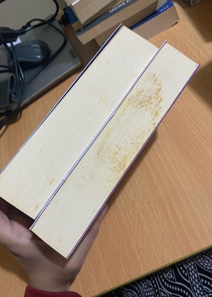 Rehine ve Aşka Rehin (2 kitap) - Görsel 3