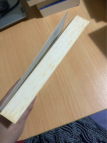 Bela - Sally Green - Görsel 3