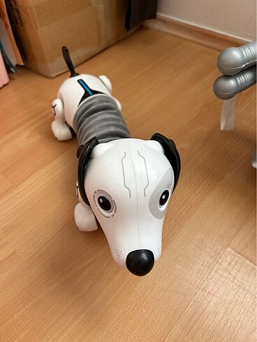  Beden Renk Robot köpek