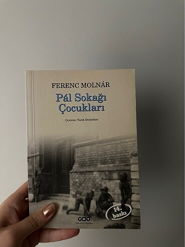 Pal sokağı çocukları