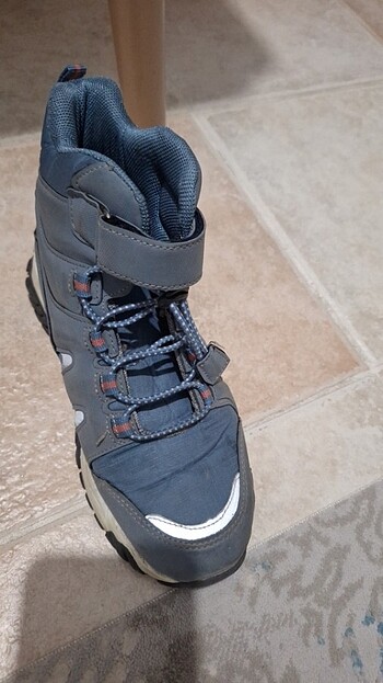 Fila Marka bot
