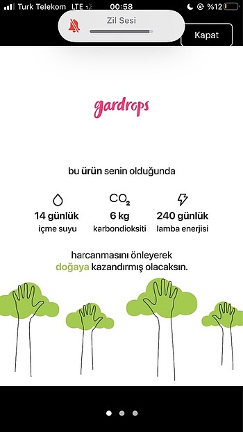 44 Beden Yırtık jean