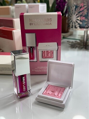 Hauslabs ikili set