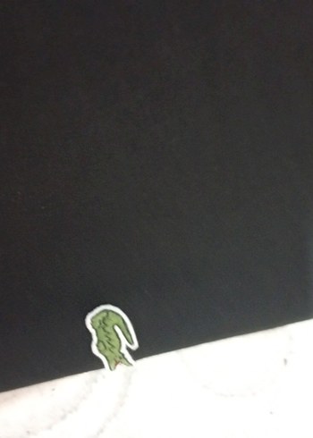 lacoste orjinal eşofman altı - Görsel 2