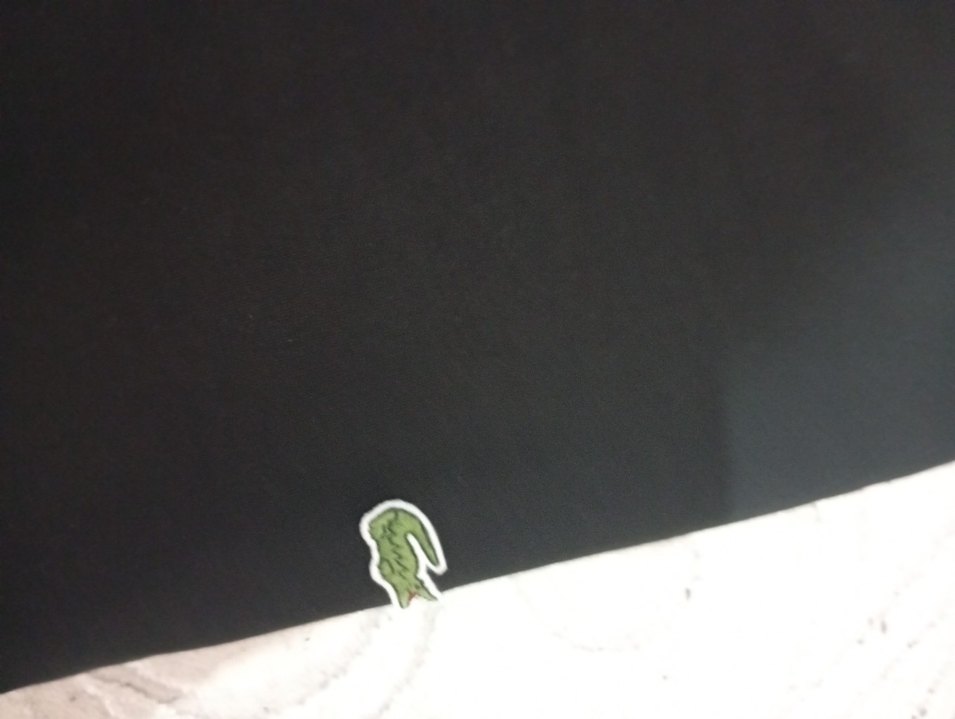 lacoste orjinal eşofman altı - Görsel 2