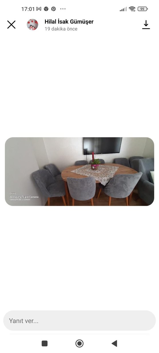 Modern Sandalye Kılıfı - Görsel 5