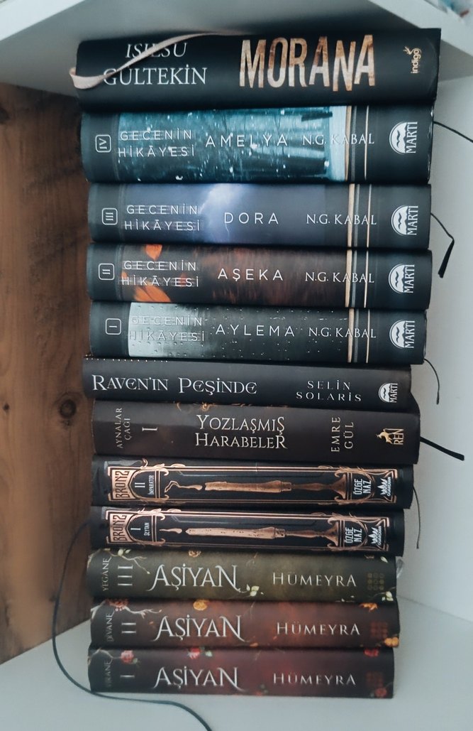 Wattpad Kitapları - Görsel 3