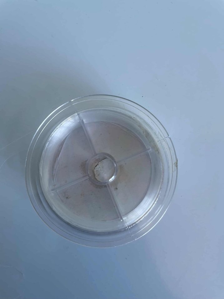 SEA HORSE Ghost Hayalet Misina 0.10MM - Görsel 5