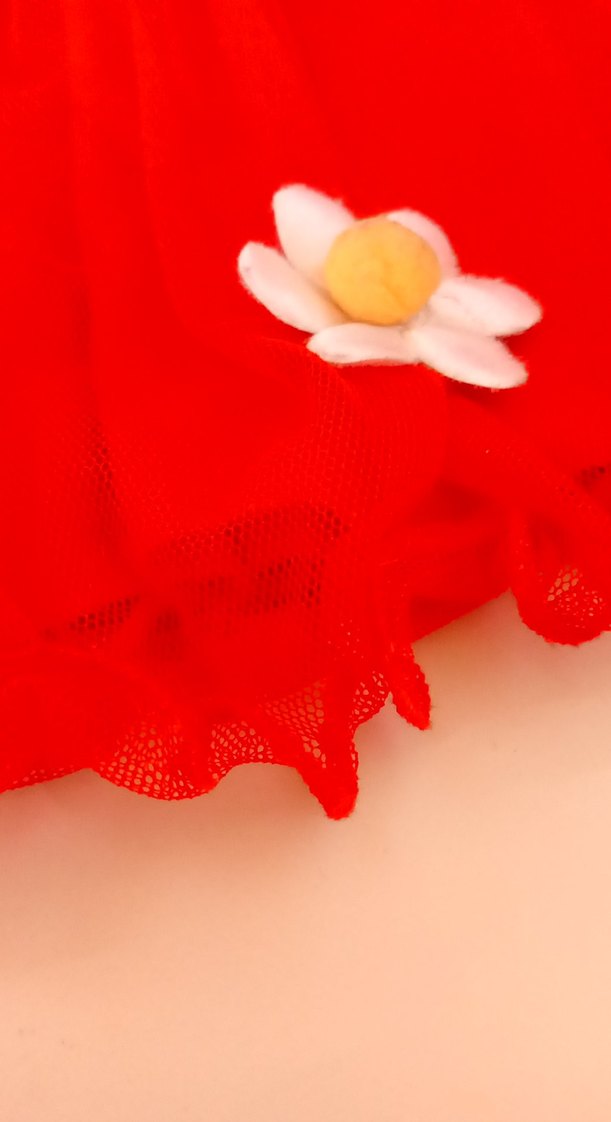 Kırmızı Fırfırlı Nakışlı Kız Eteği - Görsel 2