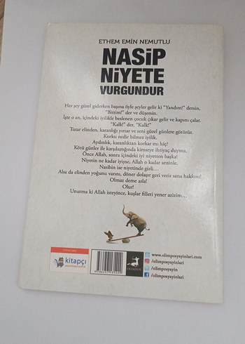 Nasip Niyete Vurgundur - Ethem Emin Nemutlu - Görsel 2