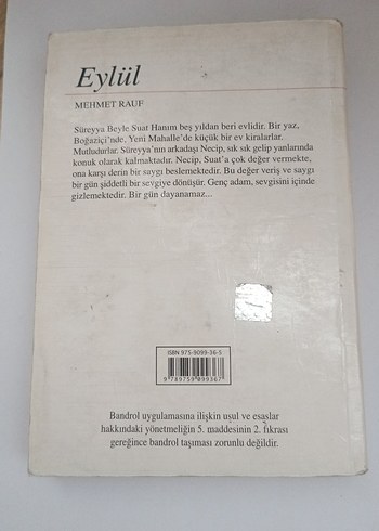 Eylül Mehmet Rauf - Görsel 3