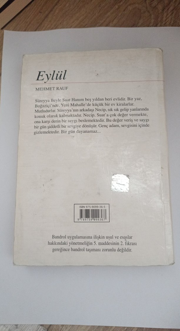 Eylül Mehmet Rauf - Görsel 3