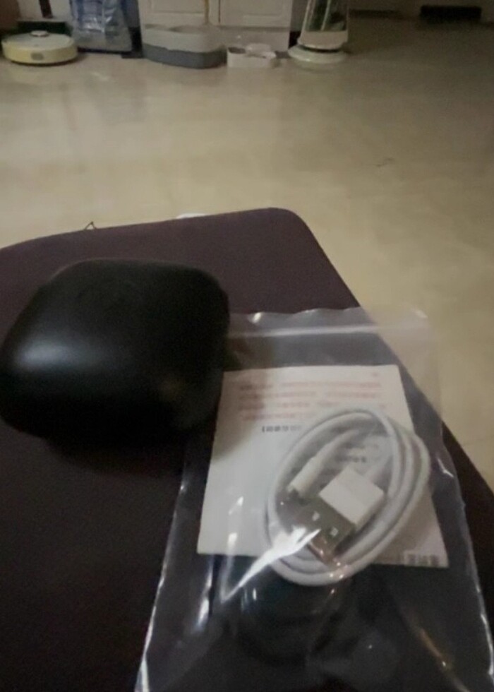 Power beats Pro - Görsel 3