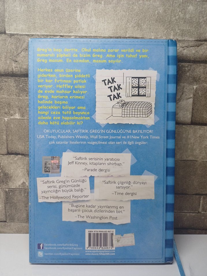 Saftirik Greg'in Günlüğü: Panik Yok! - Görsel 3