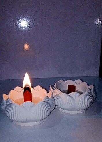 2li mumlu Lotus 
