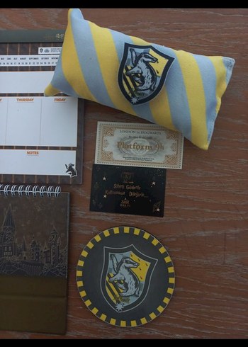 Harry Potter 2021 Altın Renkli Planlayıcı Seti - Görsel 4