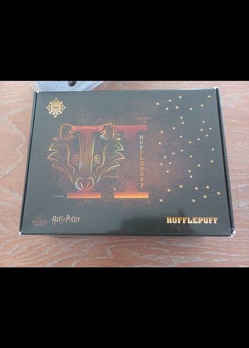 Harry Potter 2021 Altın Renkli Planlayıcı Seti - Görsel 6