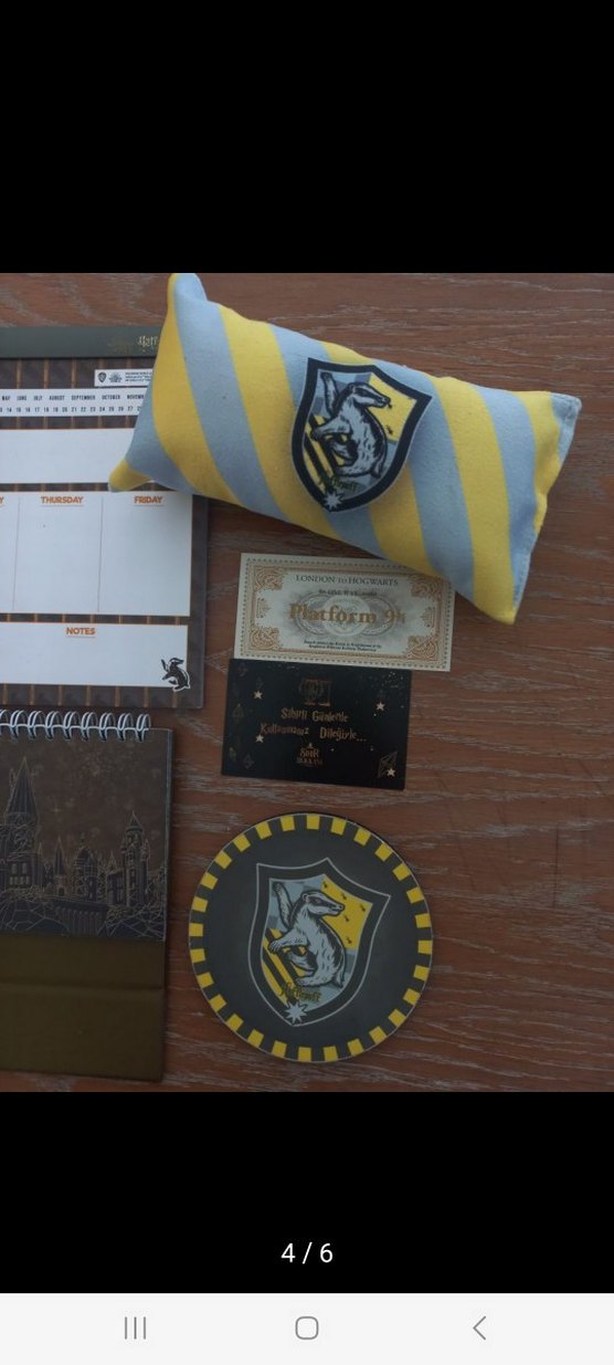 Harry Potter 2021 Altın Renkli Planlayıcı Seti - Görsel 4