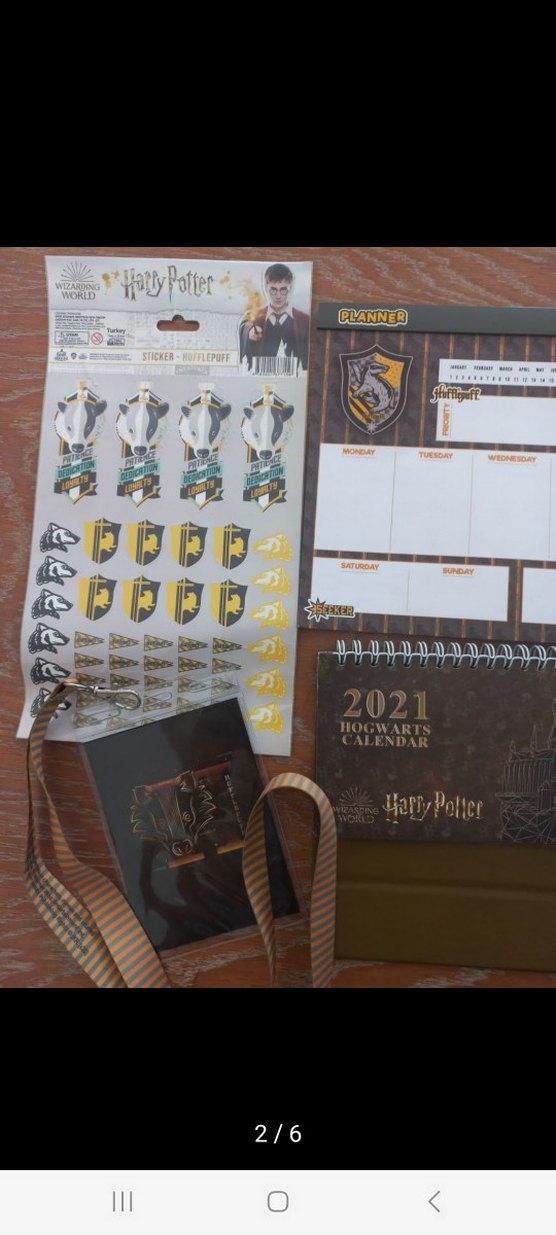 Harry Potter 2021 Altın Renkli Planlayıcı Seti - Görsel 2