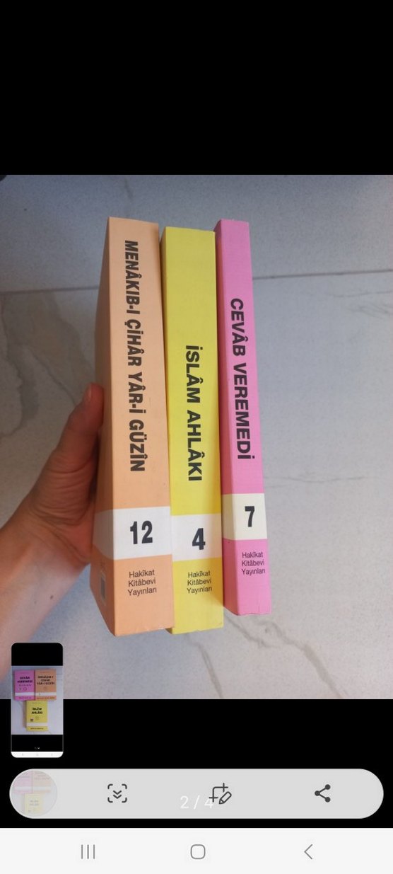 Hüseyin Hilmi Işık ve Seyyid Eyyüb Kitap Seti - Görsel 2