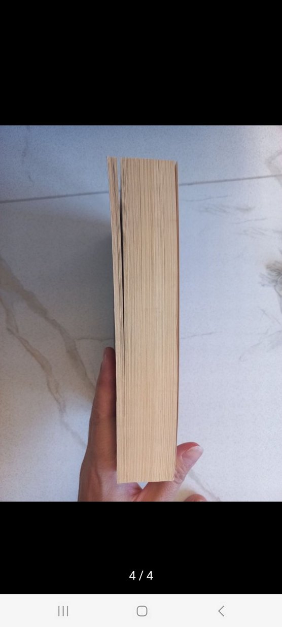 Hüseyin Hilmi Işık ve Seyyid Eyyüb Kitap Seti - Görsel 4