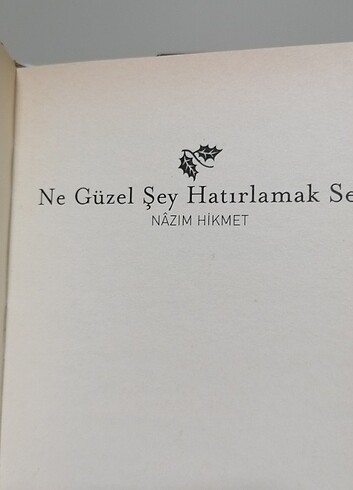 Nazım Hikmet En Güzel Şey Hatırlamak Seni  - Görsel 5