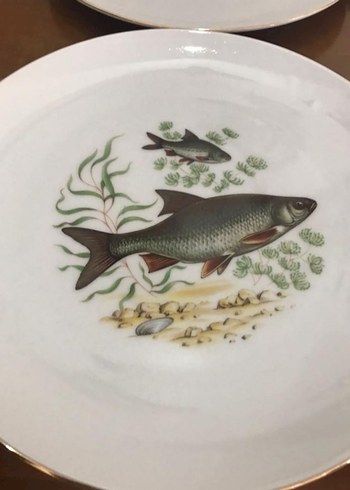 Antika Alman bavaria. Balık Desenli Beyaz Porselen Tabak Seti - Görsel 3