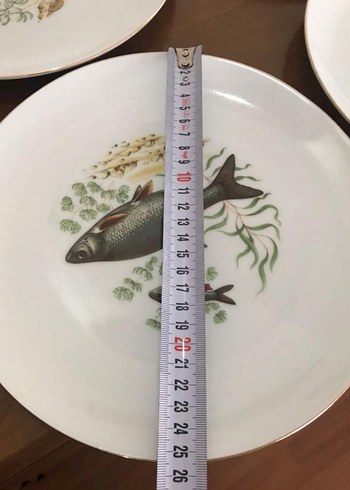 Antika Alman bavaria. Balık Desenli Beyaz Porselen Tabak Seti - Görsel 8