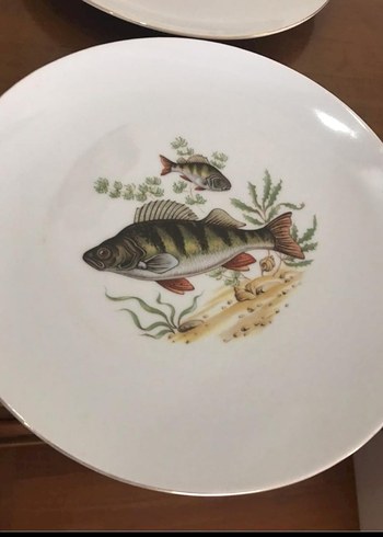 Antika Alman bavaria. Balık Desenli Beyaz Porselen Tabak Seti - Görsel 4