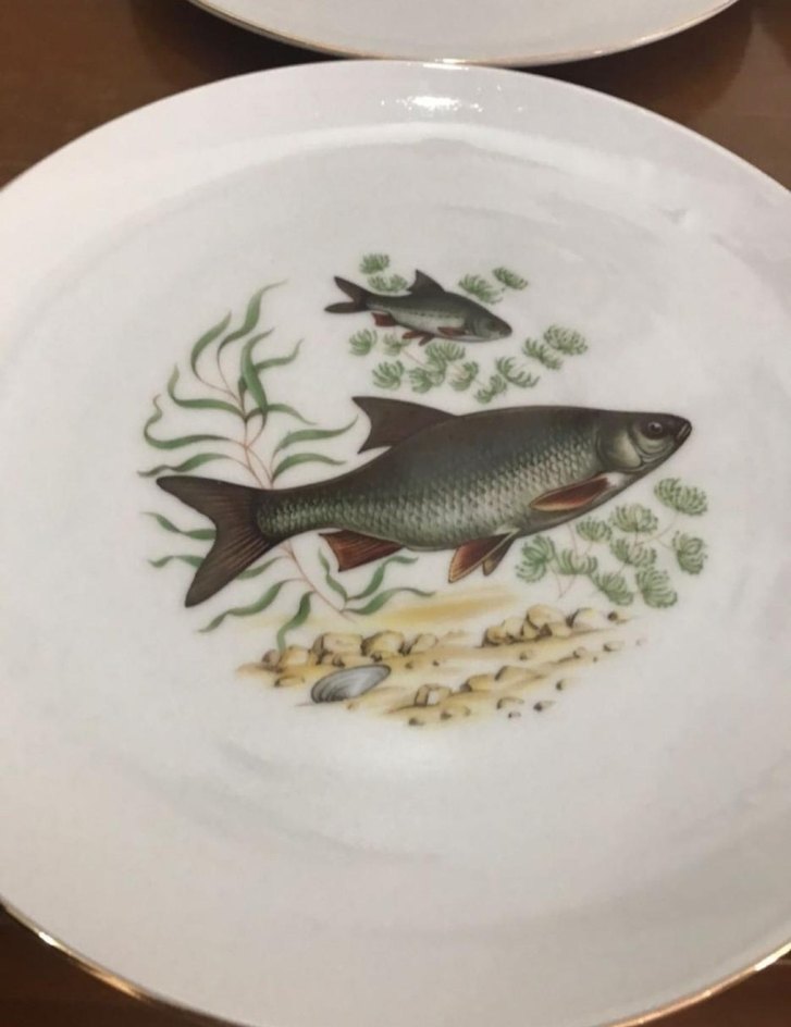 Antika Alman bavaria. Balık Desenli Beyaz Porselen Tabak Seti - Görsel 3