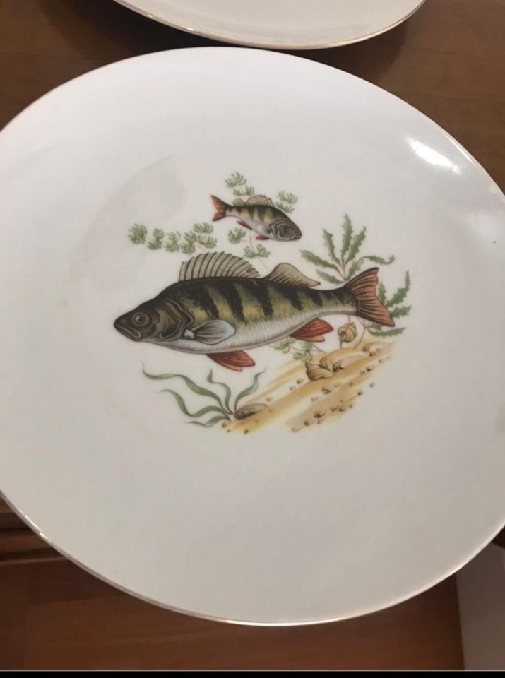 Antika Alman bavaria. Balık Desenli Beyaz Porselen Tabak Seti - Görsel 4