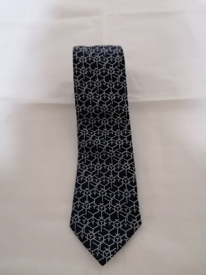 La'Pescara mikrofibrerli Geometrik Desenli Erkek Kravat - Görsel 2