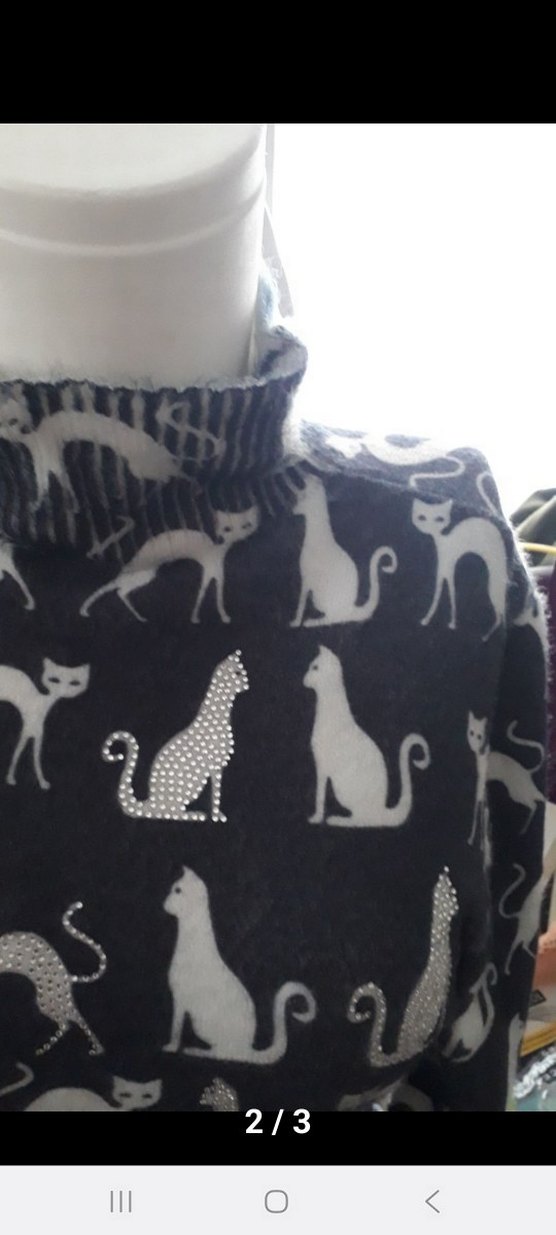 yumoş Kedi kazak - Görsel 2