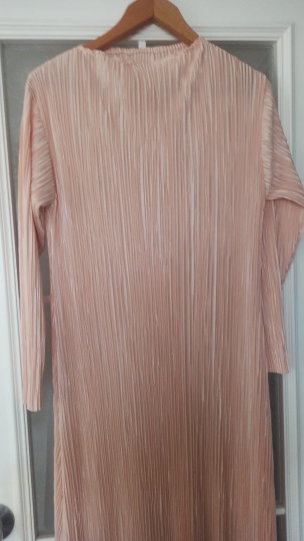 Uzun Kollu Bej Piliseli Kadın Elbise - Görsel 2