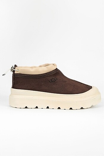 Ugg bayan bot