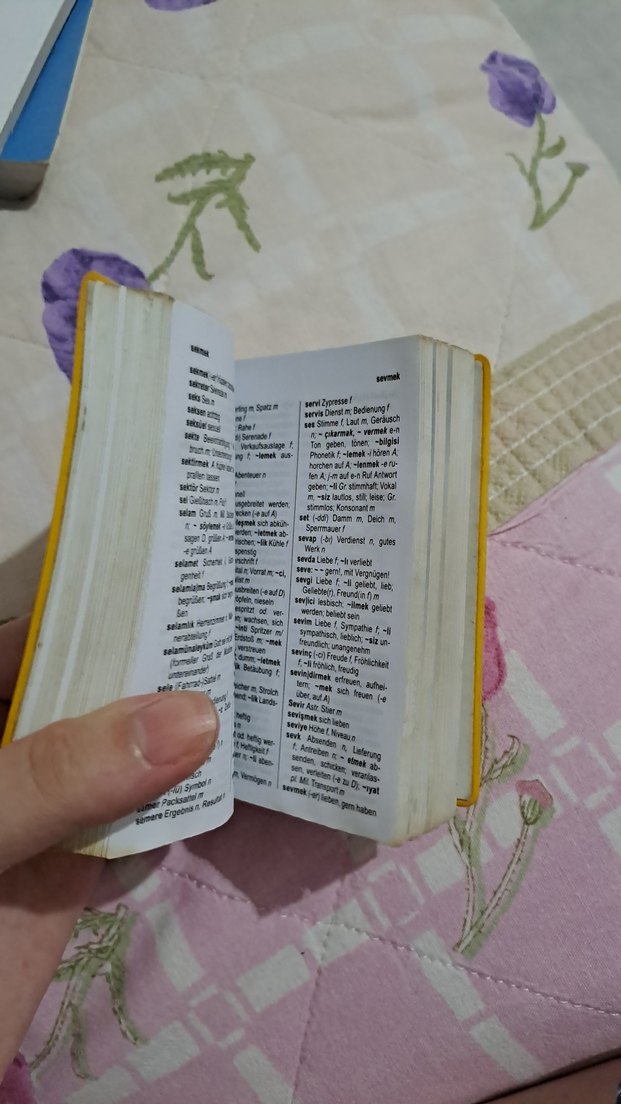 Langenscheidt Almanca-Türkçe Sözlük - Görsel 2