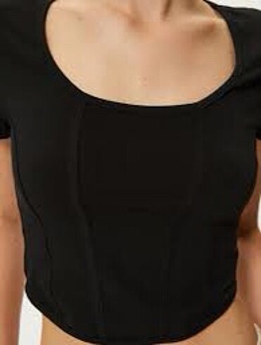 Armalife crop