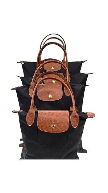 Longchamp modeller
