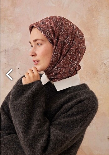 Diğer freshscarfs eşarp