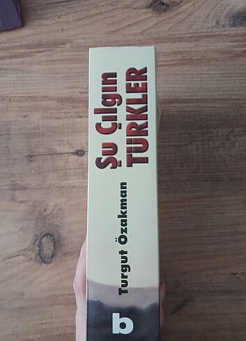 Şu çılgın türkler