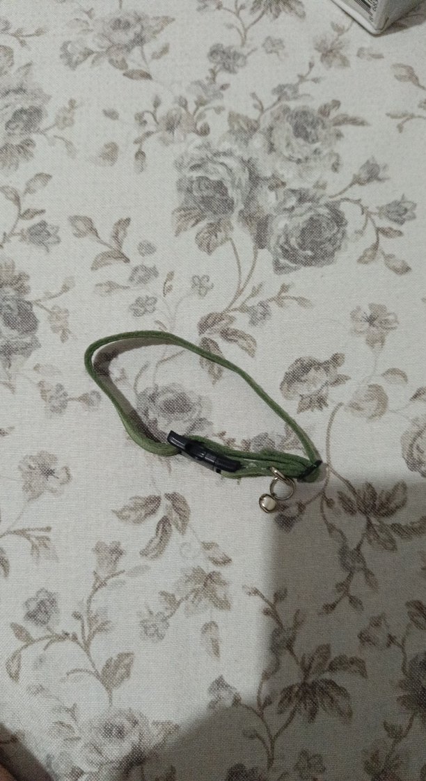 Tokalı Yeşil kedi taşması çıngıraklı - Görsel 2