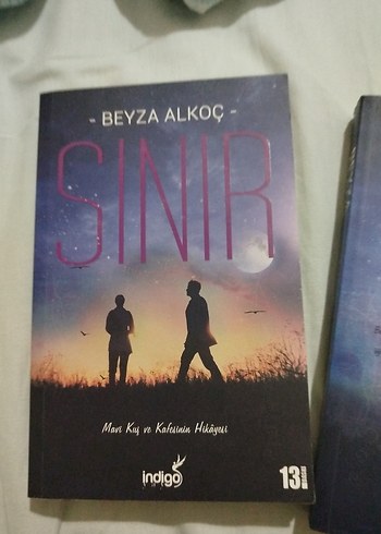 Beden Beyza Alkoç'tan Sınır ve Sınırsız Romanları
