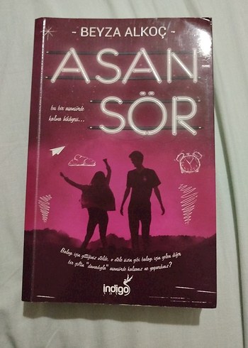 Asan Sör - Beyza Alkoç Roman