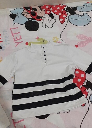 Bluz crop 