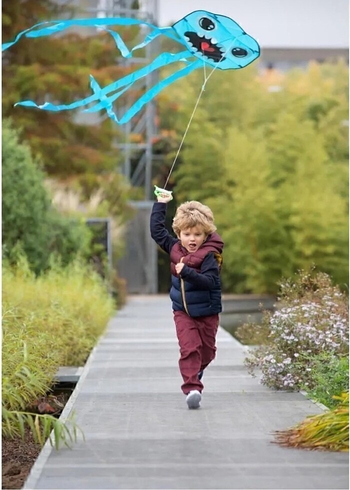 Decathlon Pulpy Uçurtma - Görsel 2